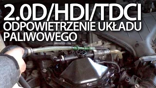 Odpowietrzenie układu paliwowego Volvo 2.0D Ford 2.0TDCi Peugeot 2.0HDi Citroen 136PS