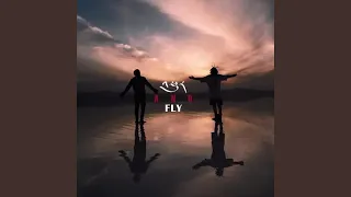 Fly