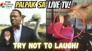 MGA NAKAKATAWANG EKSENA NG HAYOP SA LIVE TV | Subukan mong hindi matawa