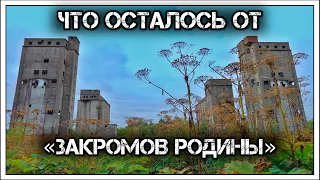 ✔️Тайные "закрома" 🍗 Родины: что осталось от секретного ⛔️объекта 🤫 госрезерва