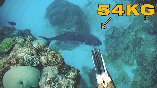 【The worst ending】 Giant Trevally 119lb | Spearfishing in Japan