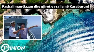 Opinion - Pashaliman-Sazan dhe gjiret e rralla në Karaburun! (20 Korrik 2022)