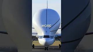 Airbus beluga is very hungry #shorts #airbusbeluga