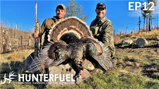 ARIZONA 2021 MERRIAM'S TURKEY DOWN!!!