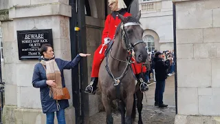 Suspicion Behaviour leave The King's Guard in Alert at Horse Guard