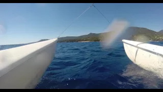 Catamaran varen op de baai van Propriano - 18 juli 2016