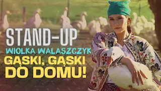 Wiolka Walaszczyk I Gąski, gąski do domu (fragment) I Stand-up I 2024