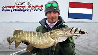 Fishing Pike in Netherlands🇳🇱 - TIPS & TRICKS HOW | Team Galant