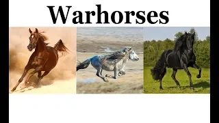Warhorses Across the Medieval World 1000-1500 AD 中世紀的戰馬 1000 - 1500 AD