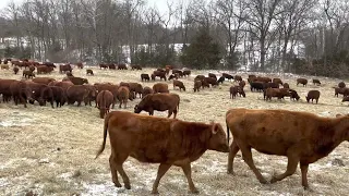 If you're going to feed hay, make it pay!