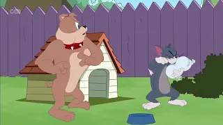 The Tom and Jerry show  “Not my tyke”