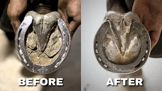 Satisfying Full Horse Hoof Restoration | FARRIER ASMR