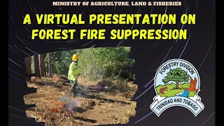 Forest Fire Suppression