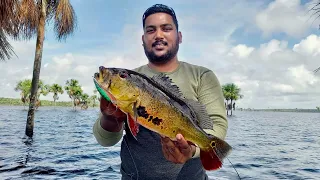 Guyanese Style CookUp and Fry Lukanani.(PEACOCKBASS FISHING)