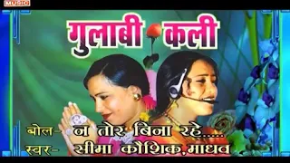 Gulabi Kali                                 न तोर बिन रहे सकव गा/ गुलाबी कली/ छत्तिसगढ़ी गाना