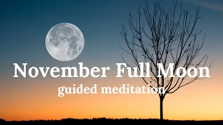 November Full Moon | Guided Meditation | Beaver Moon | Full Moon In Taurus 2021
