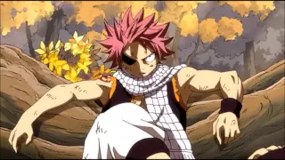 It Has Begun Fairy Tail AMV