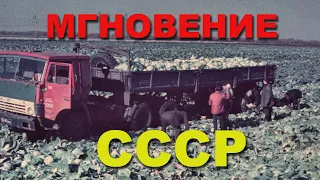 Несколько моментов с грузовиками СССР времен нашей молодости!