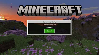 Minecraft_20240126235635