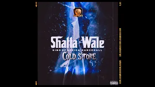 Shatta wale - Cold store (Audio Slide)