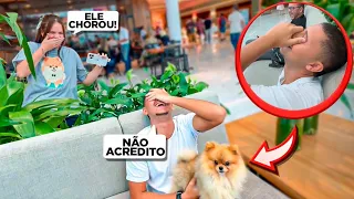 DEI UM CACHORRINHO PARA MEU NAMORADO - VIROU CENA DE NOVELA!!