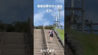 うちの奥様の階段トレーニング