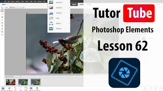 Photoshop Elements Tutorial - Lesson 62 - Guided Restore Old Photo