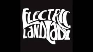 Electric Landlady - Vae Victis