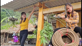 Full video expanding farm. Daily life and actual work of Binh, a girl living in rural Vietnam