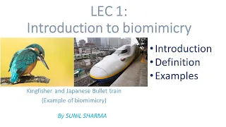 Lec 1 - Introduction to Biomimicry:: WHAT IS BIOMIMICRY::LESSONS FROM NATURE