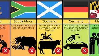 Weird Laws Around the World I Weird Laws From Different Countries