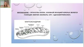 Митохондриальная дисфункция