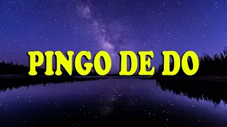 (Letra/lyrics) Hugo e Guilherme - Pingo de Dó - DVD Próximo Passo  / Lyrics De Músicas