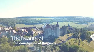 Showing my friends the countryside of Burgundy