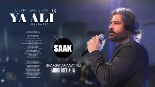 Shafqat Amanat Ali | New Manqabat Qasida | Mola Ali Pak (A.S)