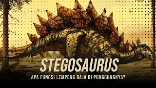 Dinosaurus Si Lempeng Baja Berotak Kecil? | Stegosaurus