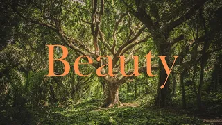 Beauty | David Funk, Bethel Music | Lyric Video