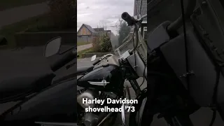 Harley Davidson #harleydavidson #Walkaround #flh #shovelhead #shovel