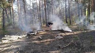 Пожежа в лісі