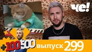 +100500 | Выпуск 299 | Новый 8 сезон на телеканале Че!