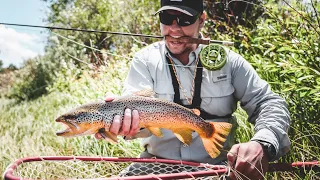 EPIC MONTANA TROUT FISHING | FLY FISHING THE BIG HOLE RIVER | OVER NIGHT CAMPING