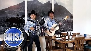 Carlos y Jose Jr. - El Vino y La Parranda