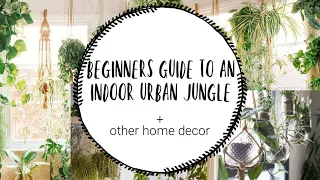 Indoor Urban Jungle for Beginners 🌵 | Easy Plants to Keep Alive