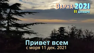 Зимнее море, "Золотые пески" 2021, СБР "Термал", хотел "Журналист", плаж Кабакум,