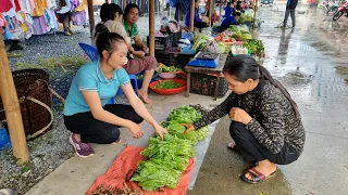 Harvesting Green Vegetables, Ginger, Crab goes to the market sell | Ly Thi Tam