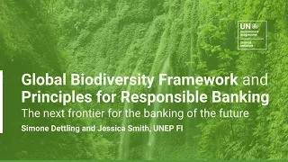 The Global Biodiversity Framework and the Principles for Responsible Banking