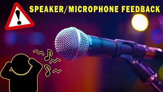 Speaker/Microphone feedback - Sound Effect