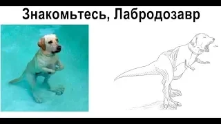 Лютые приколы. ДИНОСОБАКА