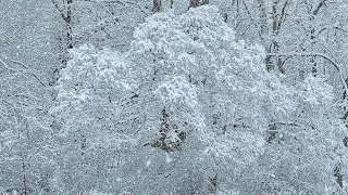“SMALL SAMPLE VIDEO OF NOR-EASTER WINTER STORM LORRAINE” IN NEW YORK CITY.