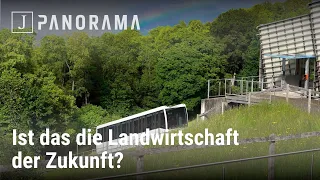 Panorama vom 24. Mai 2024